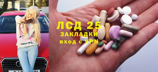 прущие грибы Алзамай