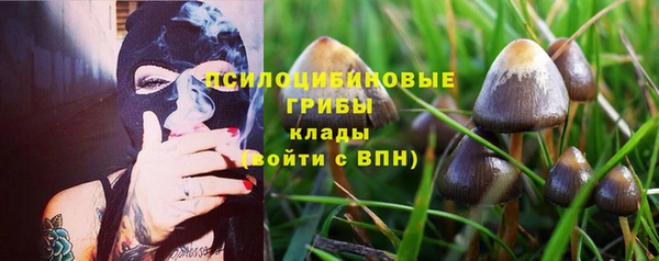mdpv Аркадак